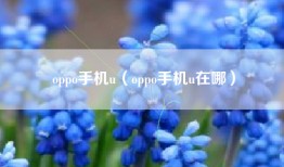 oppo手机u（oppo手机u在哪）