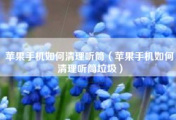 苹果手机如何清理听筒（苹果手机如何清理听筒垃圾）