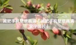 减肥手机壁纸高清（减肥手机壁纸高清文字图片）