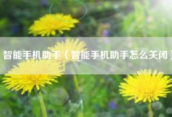 智能手机助手（智能手机助手怎么关闭）