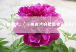 手机看片.1（手机看片会被警察定位吗）