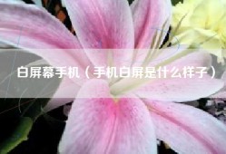 白屏幕手机（手机白屏是什么样子）