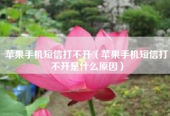 苹果手机短信打不开（苹果手机短信打不开是什么原因）