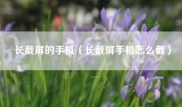 长截屏的手机（长截屏手机怎么截）