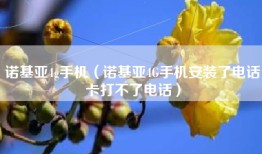 诺基亚4g手机（诺基亚4G手机安装了电话卡打不了电话）