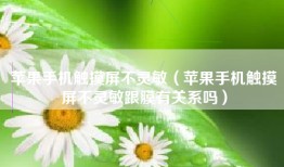 苹果手机触摸屏不灵敏（苹果手机触摸屏不灵敏跟膜有关系吗）