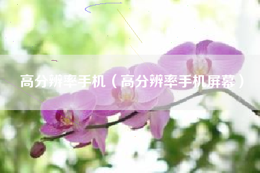 高分辨率手机（高分辨率手机屏幕）