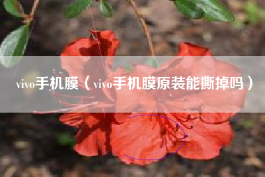 vivo手机膜（vivo手机膜原装能撕掉吗）